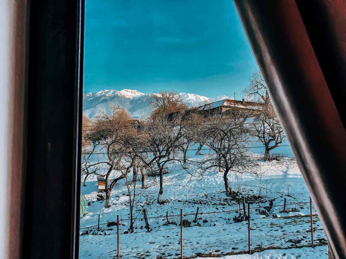 Transylvania Mountain View Cdi 브란 외부 사진