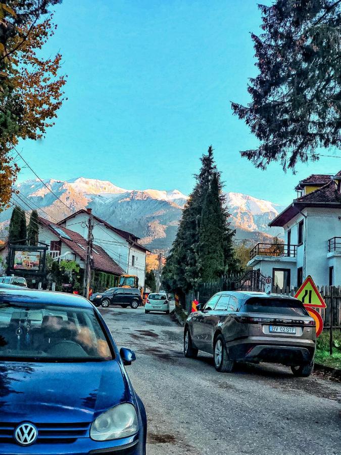 Transylvania Mountain View Cdi 브란 외부 사진