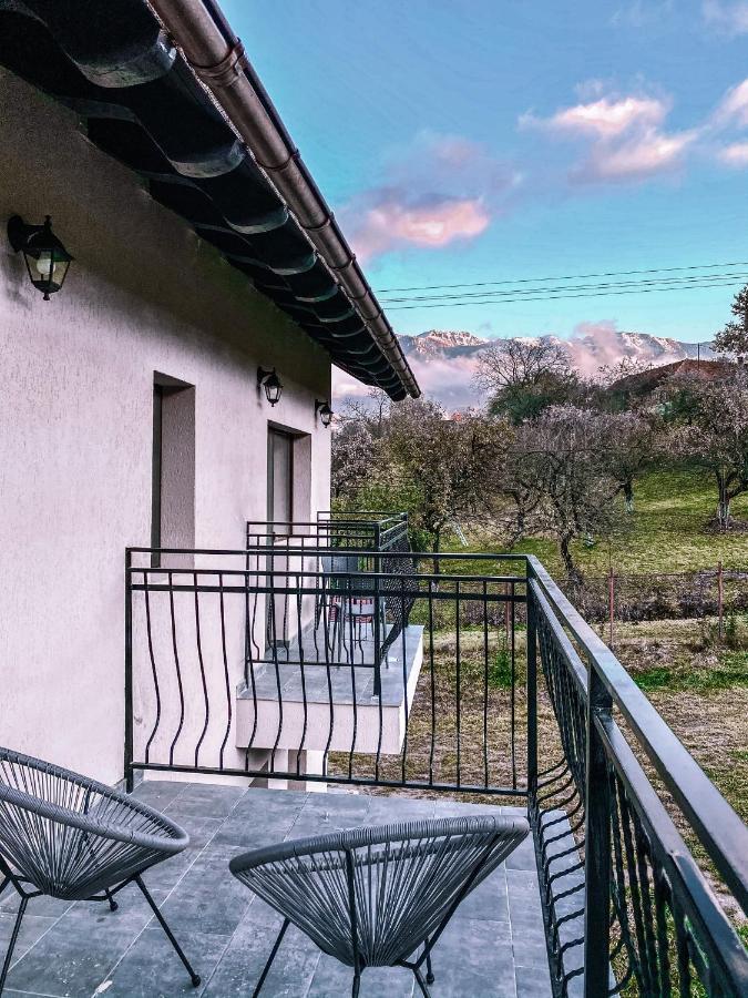 Transylvania Mountain View Cdi 브란 외부 사진
