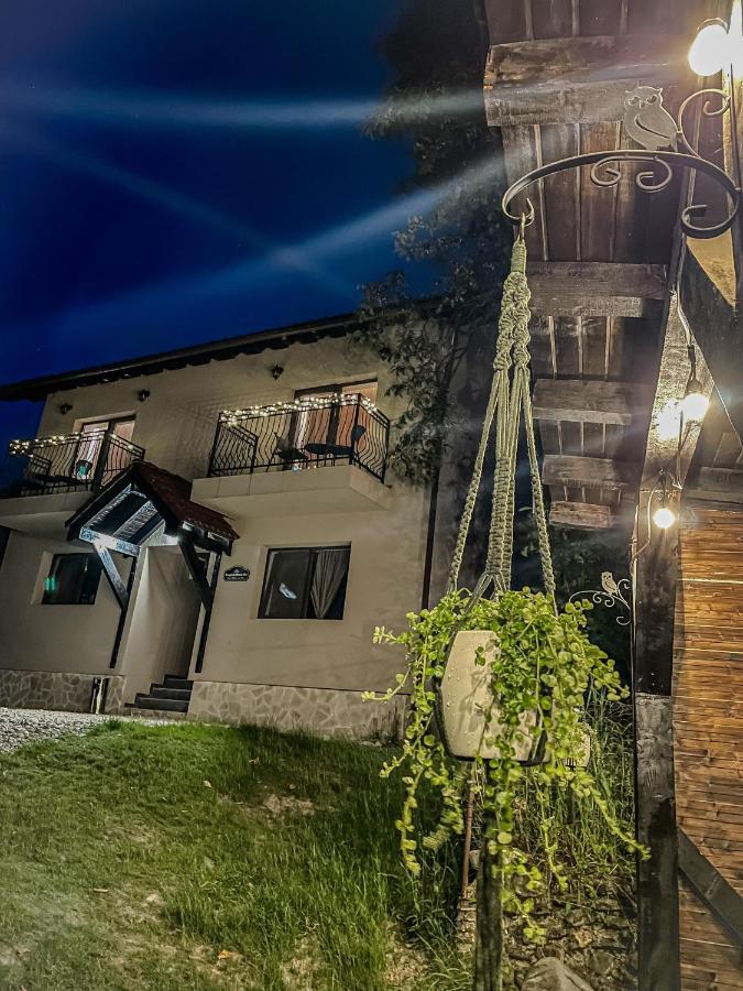 Transylvania Mountain View Cdi 브란 외부 사진