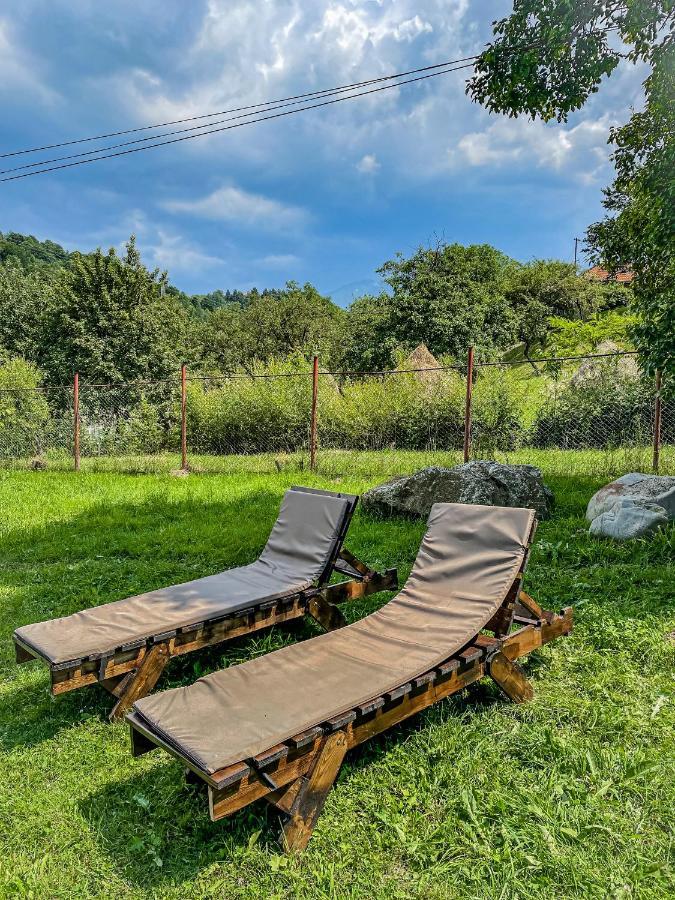 Transylvania Mountain View Cdi 브란 외부 사진