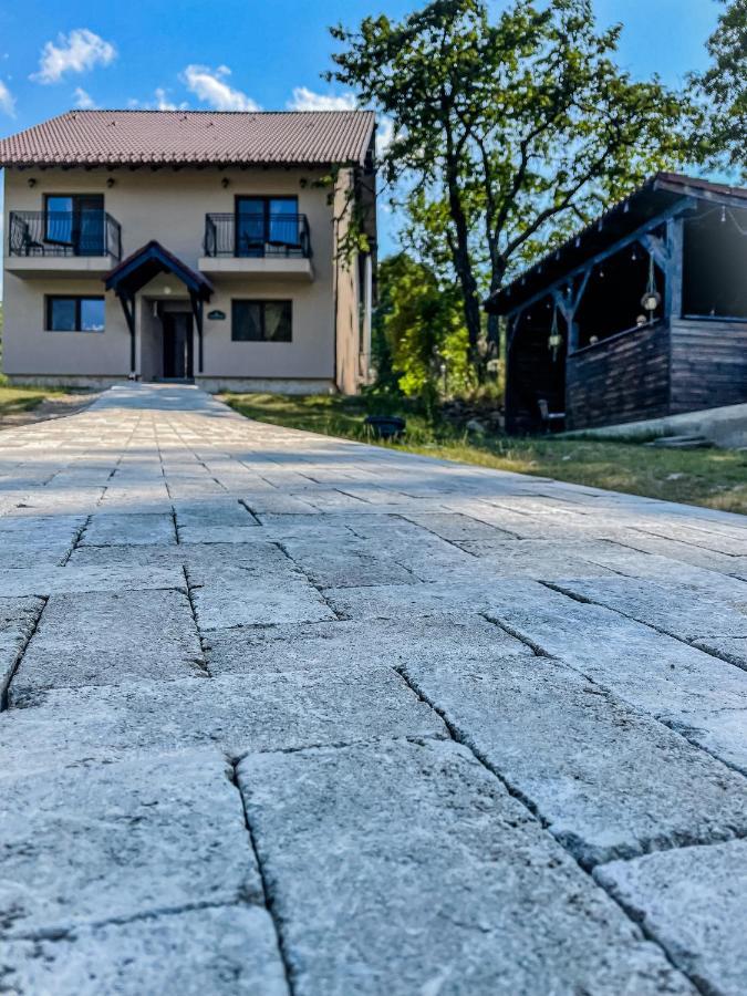 Transylvania Mountain View Cdi 브란 외부 사진