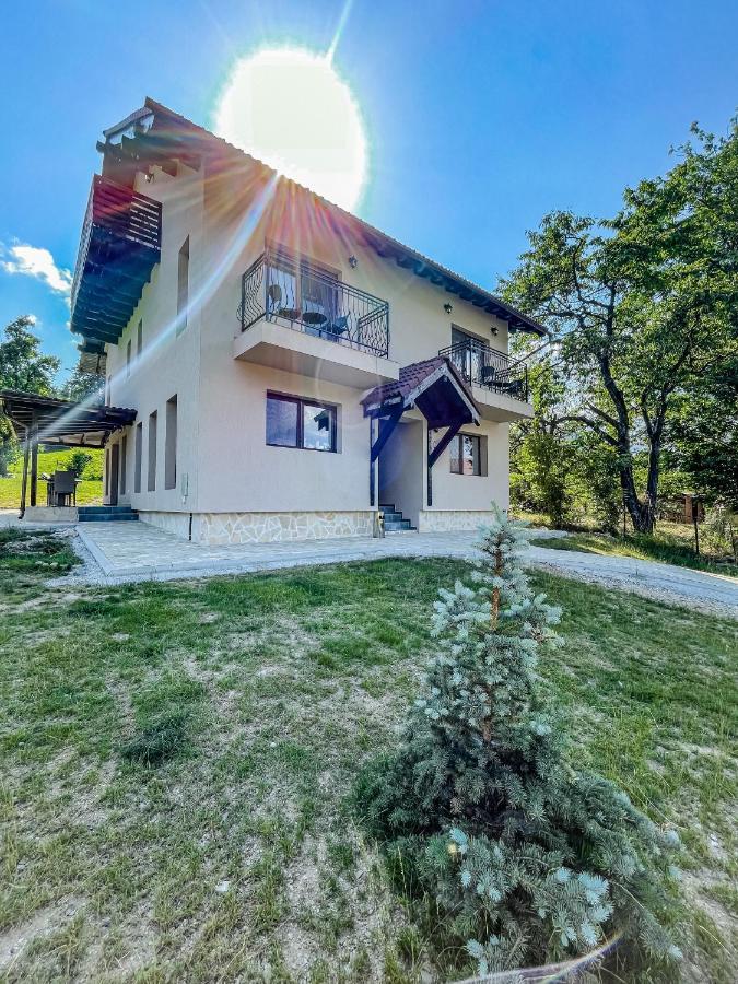 Transylvania Mountain View Cdi 브란 외부 사진