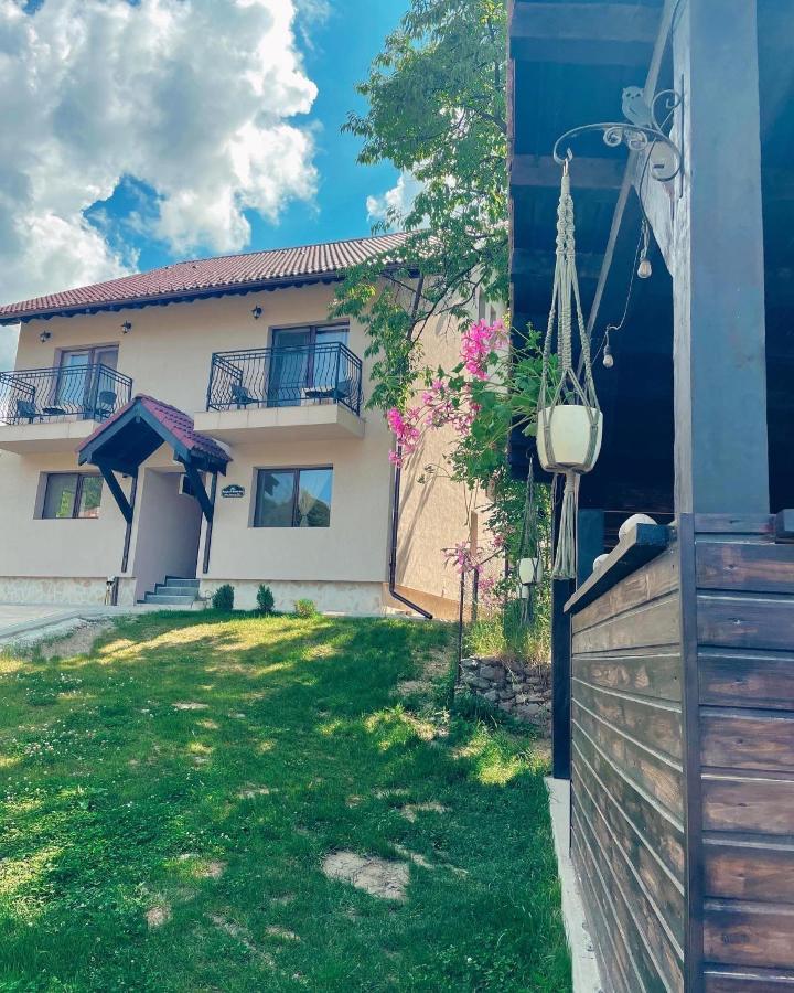 Transylvania Mountain View Cdi 브란 외부 사진