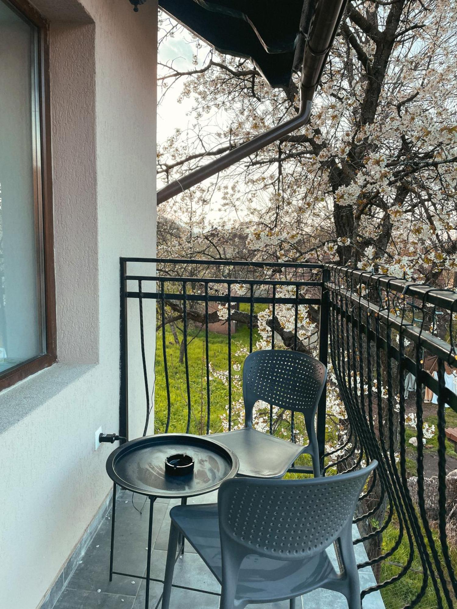 Transylvania Mountain View Cdi 브란 객실 사진